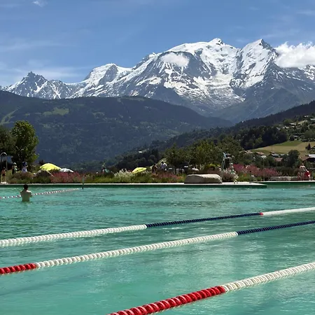 Ecrin Des Glaciers Notre Petit Chez Nous Lägenhet